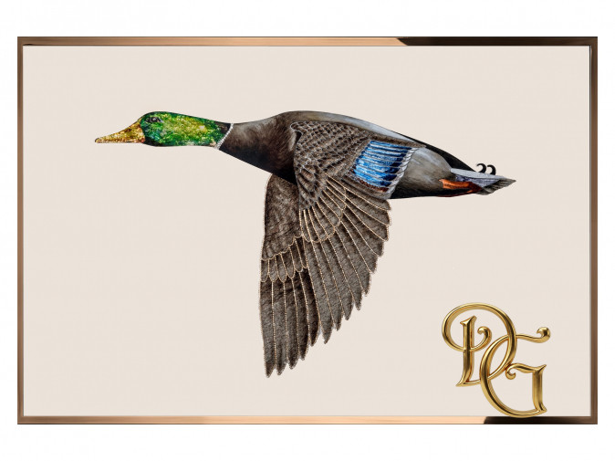 Гостиная Freyr