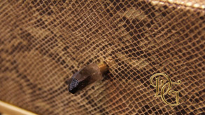 Консоль Temptation