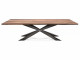 Стол обеденный Spyder Wood