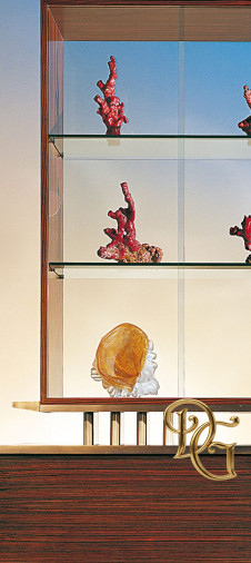 Витрина Mizuki