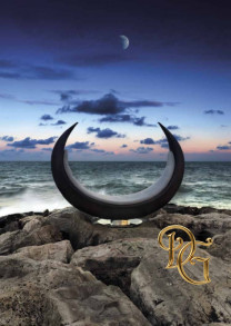 Кресло 7542195.00